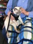 therapy cata visit_n.jpg