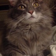 penelope.jpg