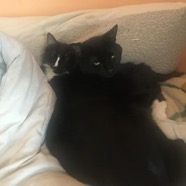 squitty and ucci.jpg