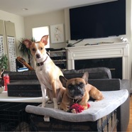 barley and ella.jpg