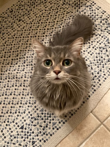 sputnik