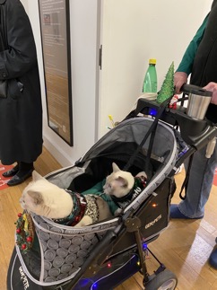 Macys 6 Photo Dec 22, 1 15 55 PM