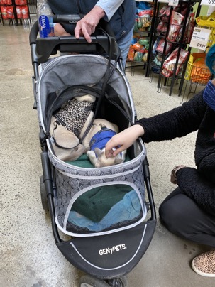 Pet food express 1 Photo Dec 14, 1 14 38 PM